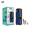 Altavoz Bluetooth Bt-6205 de Doble Altavoz 20W 6.5 Pulgadas con Luces de Colores para Baile en Plaza y Karaoke con Micrófono