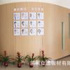 Painel de Parede Chisi Board Acabamento em Madeira Hospitalar Placa Especial Anti-Bei Resina Fenólica HPL Laminado de Alta Pressão Pré-revestimento Inorgânico