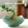 Kenzan Criativo Vaso Arranjador de Flores Cerâmica Íris Pau-Brasil Recipiente Bola de Musgo Fruteira Mesa Fabricante Pintura Colorida