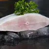 Pez Plata Pescado Plano Capturado en Estado Salvaje Aguas Profundas Congelado Pescado Blanco Grande Mariscos Productos Acuáticos Caballa Productos Acuáticos Frescos Venta al por Mayor Comercial