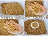 Colunas de vieira seca Guangxi Beihai atacado levemente secas 200 cabeças 350 cabeças 400 cabeças frutos do mar secos crus 500g mingau