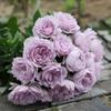 Kono Caixa de Joias/Névoa Azul Broto de Rosa de Salão Arbusto Flores de Jardim de Pátio Fragrantes Multissazonal
