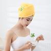 Gorro Secador de Cabello, Terciopelo de Coral Absorbente, Gorro de Ducha Doble Capa Engrosado para Cuidado del Cabello, Toalla de Champú Bordada Linda, Artículos Esenciales Diarios para el Hogar