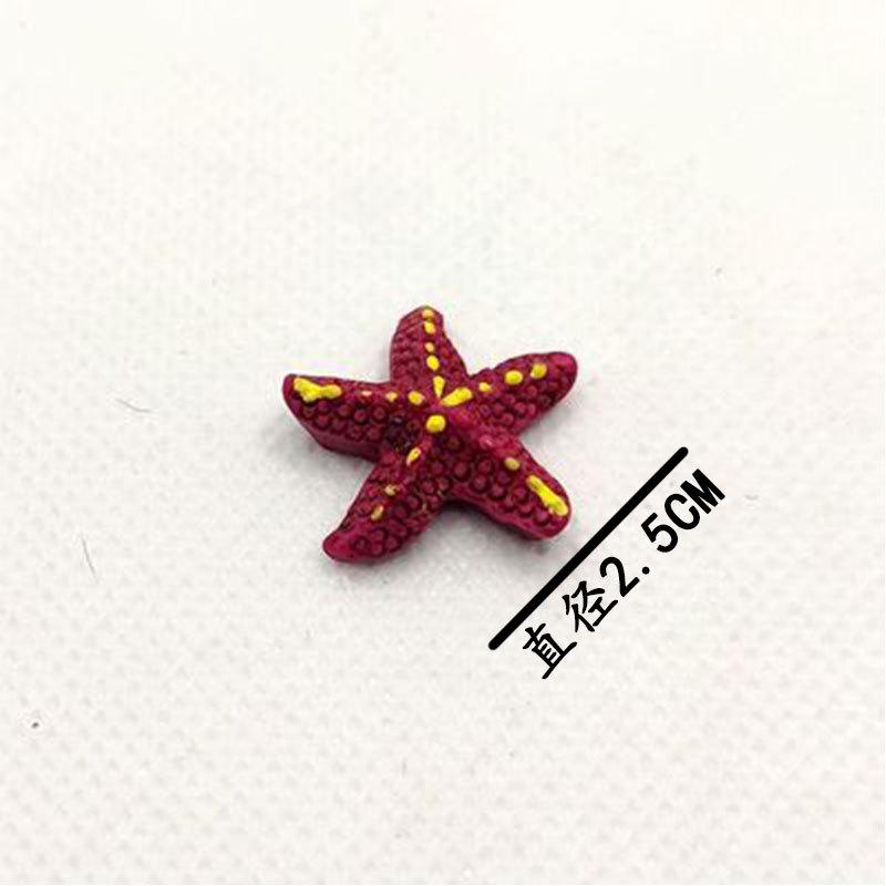 海星_02