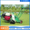 Máquina de Remoção de Grama Autopropelida Empurrada Manualmente, Máquina de Transplante de Grama para Paisagismo de Campo de Futebol, Máquina de Remoção de Grama Artificial