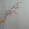 Regreso Simulado a la Montaña, Fruta de Madera de Jengibre, Madreselva del Sur, Bayas de Otoño, Estilo Wabi-Sabi, Nuevo Estilo Chino, Estilo Retro, Interior Suave para Sala de Estar