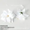 Decoraciones de Flores Artificiales Blancas, Materiales Hechos a Mano DIY de Flores de Seda para Accesorios del Cabello, Accesorios Florales para Decoraciones del Hogar y Bodas