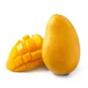 Manga Tainong Manga Guiqi Manga Quatro Estações Manga Imperatriz Vermelha Frutas Enxertadas Mudas de Manga Mudas de Manga Que Dão Frutos no Mesmo Ano