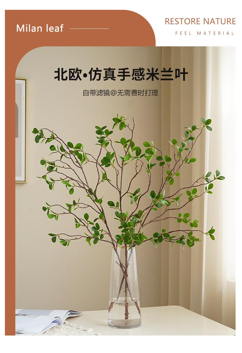 手感米兰叶-米黄_01.jpg