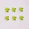Nuevos accesorios de arte de uñas de flor de cinco pétalos y hoja, piezas pequeñas de resina tridimensionales para pendientes DIY, pasadores para el cabello y accesorios de decoración de uñas