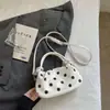 Bolsa de Mão Pequena Exquisita Super Moderna para Mulheres, Novo Modelo 2026, Bolsa de Ombro Transversal Fashion de Verão de Alta Qualidade para o Dia a Dia