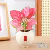 Planta em Vaso Vermelho Geely, Planta Verde Ruyi Rainha Elefante Branco Hidropônica, Planta de Folha Decorativa para Mesa de Escritório, Flor Fácil de Cuidar