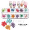Cross-border novo unhas jóias 12-grade caixa flor seca Margarida estrelado natural DIY jóias do prego atacado