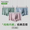 Calzoncillos tipo bóxer de algodón puro para hombre Yalu con bolsa 7A Entrepierna antibacteriana Transpirables Ultracómodos Envío directo del fabricante Envío gratuito
