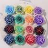 Sueño Color Arcoíris Azúcar Sentido Rosa Joyería Parche Aretes DIY Tocado Accesorios para el Cabello Zapatos con Agujeros Zapatos Accesorios de Flores