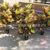 Hojas artificiales esparciendo Accesorios de pared para planta de Banyan color cambiante Madera alta simulación hojas coloridas hojas grandes color cambiante Maceta de madera fabricante