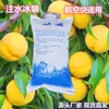 Bolsa de gelo com injeção de água descartável atacado refrigerada congelada conservação de frescor transporte expresso resfriamento portátil especial bolsa de uso repetido