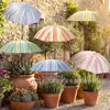 Parasol Popular para Plantas de Amazon Modelo Mejorado Parasol Ajustable para Exteriores Jardín Macetas