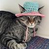 Amazon Comércio Exterior Transfronteiriço Novo Gato e Cachorro de Crochê Puro Feito à Mão Chapéu de Cowboy Personalizado Divertido e Fashion para Animais de Estimação