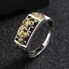 Anillo de Ábaco Pixiu Retro, de Gama Alta, Dominante y Personalizado, Anillo de Moda y Sencillo Galvanizado para Hombres, Regalo para Amigos