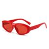 Gafas de sol ovaladas de moda casual de tendencia 2024 para viajes, fiestas y paseos, para hombres y mujeres.