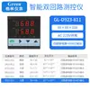 Controlador de temperatura, presión y nivel de líquido de doble circuito y doble haz de luz con dos instrumentos de visualización y dos entradas de señal 485