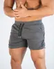 Pantalones cortos de deporte de verano para hombre, transfronterizos de Amazon, para fitness, running, entrenamiento en gimnasio, pantalones cortos de malla de secado rápido, pantalones cortos de playa