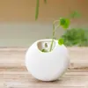 Estilo Coreano Vintage Hidropônico Preto e Branco Pendurado na Parede Vaso de Flores Cerâmico Jardinagem Simples Jardinagem Criativa em Casa Vaso de Flores Suculentas