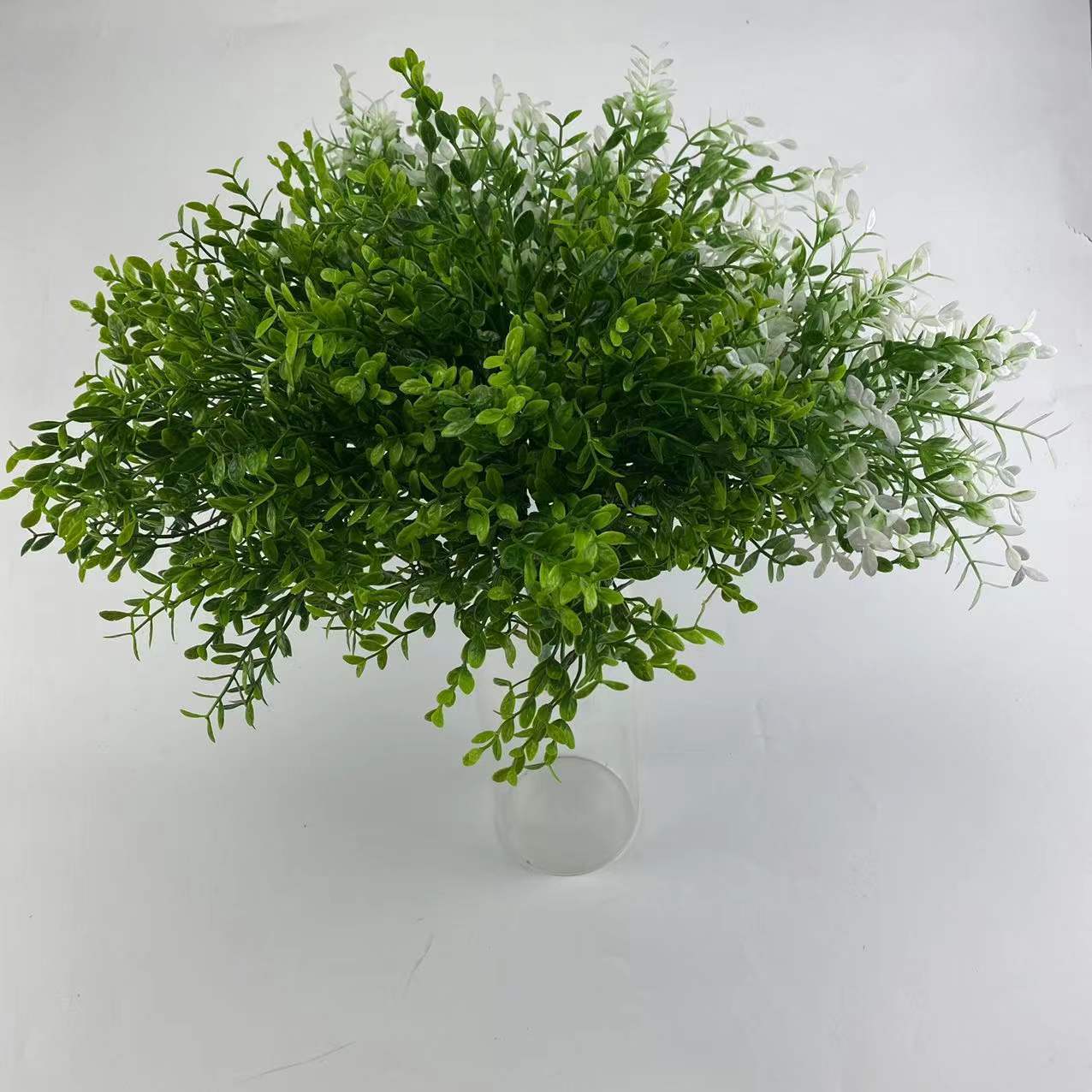 5叉25目竹柏叶11