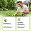 Herbicida para césped, agente de control de malezas para césped de jardín, producto especializado para paisajismo y mantenimiento, suministros agrícolas para control de malezas