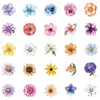 50 Pegatinas de Flores Retro, Vasos de Agua Coloridos, Decoraciones para Laptop, Pegatinas Impermeables para Mascotas Disponibles para Venta al por Mayor