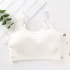 Ursinho Costela Wrap Peito Costas Bonitas Corrida à Prova de Choque Top Esportivo Sutiã Esportivo Faixa Sem Aro Roupa Íntima de Dormir Feminina Respirável