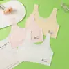 Roupas Íntimas Infantis para Estudantes, Meninas do Ensino Fundamental, Meninas do Ensino Médio, Sutiãs para Período de Desenvolvimento da Puberdade, Camisetas sem Costura para Meninas Mais Velhas