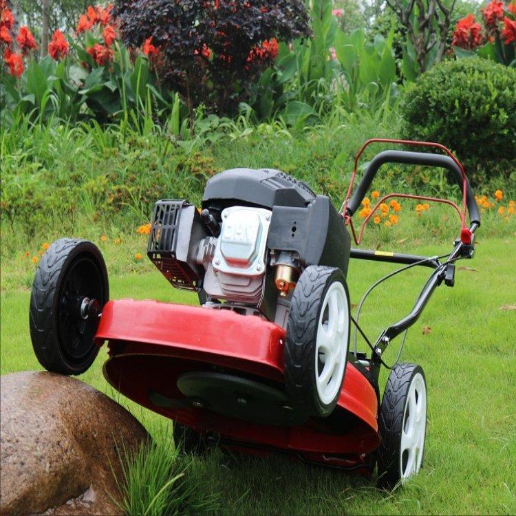 一键复制_20230724140820