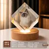 Bola de cristal creativa, luz de noche de madera maciza, lámpara ambiental de escritorio, decoración de mesita de noche, temática de mascotas gato y perro, regalo de recuerdo personalizable