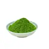 Polvo de Hojas de Moringa. Fabricante Especializado en Producir Polvo de Hoja de Moringa de Grado Alimenticio, Secado al Aire Caliente. Descuentos por Volumen a Partir de Piezas de 0.5 kg