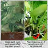 Suporte para Caule de Planta Ferramentas de Jardinagem Clips de Fixação para Plantas Estrutura de Treliça Estrutura de Agrupamento de Hastes de Flores Ferramentas de Jardinagem