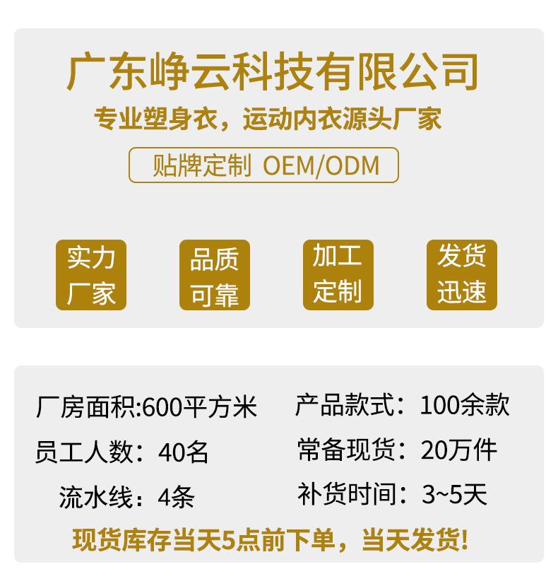 公司介绍2