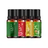 Aceite de Masaje de Jengibre y Artemisa Beijing Tong Ren Tang Extracto de Planta Herbal Semilla de Camelia Oliva Gua Sha Aceite Esencial Aceite de Masaje Corporal
