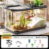 Aquário Grande Transparente de Alta Definição, Aquário para Peixe Dourado, Tanque Ecológico para Visualização de Peixes de Mesa, Ornamento Decorativo, Aquário Grande para Tartarugas