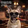 Suministros para Mascotas Transfronterizos: Disfraces Divertidos para Gatos y Perros, Gafas para Mascotas, Collares de Bully para Perros, Juegos de Juguetes de Peluche
