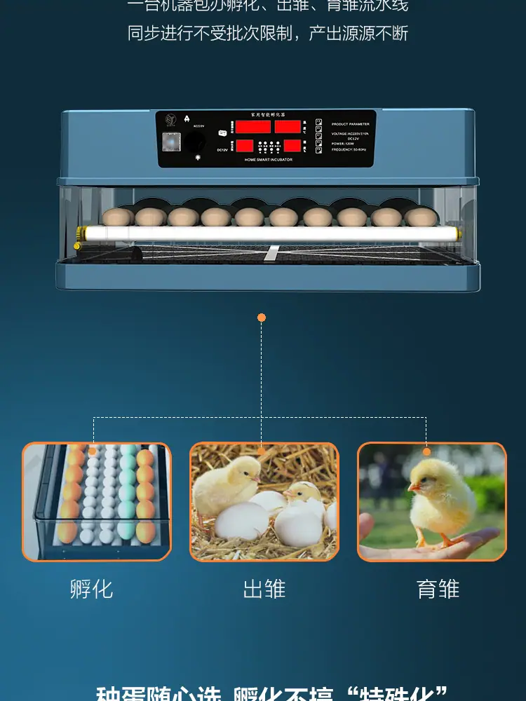 详情_03.jpg