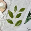 Folhas de Osmanthus Artificiais, Folhas de Plantas Verdes Artificiais, Folíolos Artificiais, Acessórios para DIY, Plantas Verdes Artificiais, Folhas de Chá Artificiais