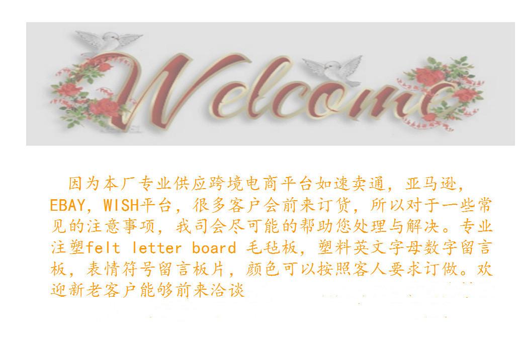 9136999098_253352793