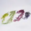 Decoración para Colgar en la Pared de Sauce Dorado de Campana Simulada, Enredaderas Artificiales para Interiores, Flores Artificiales, Plantas Colgantes de Plástico para Pared de Sala de Estar, Planta Verde