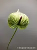 Simulação PU único vermelho médio palma mini pequena Guanyinlian segurando flor material adereços de tiro flores de mesa para casa