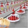 Línea Automática de Material para Pollos de Engorde Línea de Agua Dispositivo de Bebedero Cabrestante Accesorios para Línea de Material de Pollos de Engorde Equipo Especial para Fábrica de Pollos