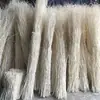 Decoração de Galho Seco Casamento Casamento Galho Seco de Salgueiro Yunlong Decoração de Janela Galho de Salgueiro Dragão Branco
