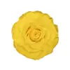 Flores Eternas 9-10cm Rosas Gigantes Personalizables Venta al por Mayor Productos Terminados DIY Cabezas de Flores Grandes Venta al por Mayor de Fábrica