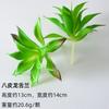 Uau Suculentas Simuladas Personalizadas, Plantas Verdes, Plantas Envasadas Decorativas, Cactos Mobiliário para Casa, Suculentas Falsas DIY Bonsai